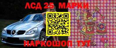 гидропоника Пенза