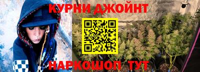 гидропоника Пенза