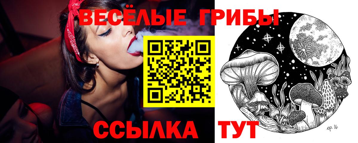 Псилоцибиновые грибы Cubensis  Вход с VPN  Советская Гавань  Псилоцибиновые грибы Magic Shrooms 